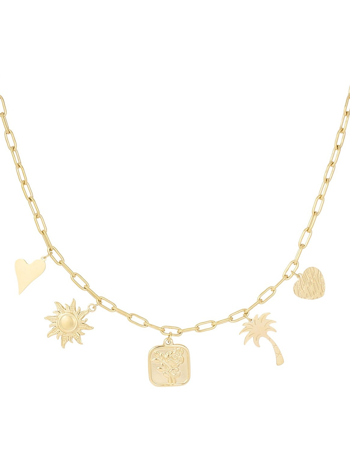 Bedelketting Palm Possesion - Goud